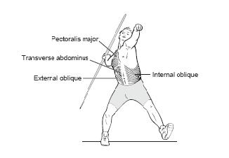 Anatomical slings