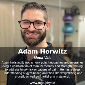 Profile Mona Vale Adam Horwitz